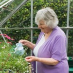 seniors woman watering plants 298 x 298 seniors woman watering plants 298 x 298