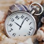 clock and seashells 150 x 150 clock and seashells 150 x 150